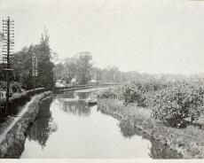LHG02_0025 Canal at Lapworth, viewed from Mill Lane bridge